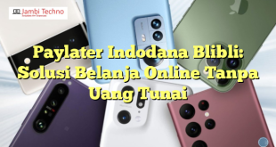 Paylater Indodana Blibli: Solusi Belanja Online Tanpa Uang Tunai