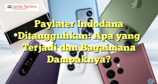 Paylater Indodana Ditangguhkan: Apa yang Terjadi dan Bagaimana Dampaknya?