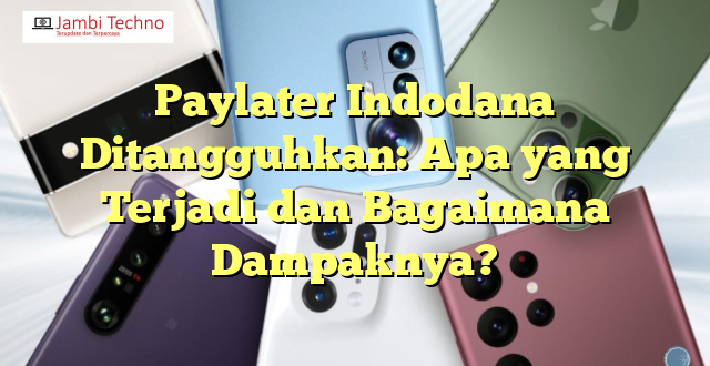 Paylater Indodana Ditangguhkan: Apa yang Terjadi dan Bagaimana Dampaknya?