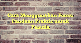 Cara Menggunakan Forex: Panduan Praktis untuk Pemula