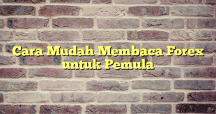 Cara Mudah Membaca Forex untuk Pemula