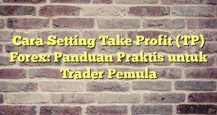 Cara Setting Take Profit (TP) Forex: Panduan Praktis untuk Trader Pemula